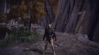 ELDEN RING : Death of The Finger Reader Crone