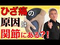 【ひざの痛み】ひざ痛の本当の原因は、関節のゆがみ？！ エゴスキュー【公式】