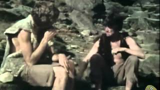 Monty Python - Sketch do eremita (LEGENDADO)