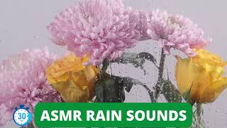 ASMR Rain Sounds for sleeping | 30 minutes heavy rain sounds effects for fast sleeping
