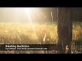 Breathing Meditation | UCLA Mindful Awareness Research Center