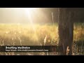 Breathing Meditation | UCLA Mindful Awareness Research Center