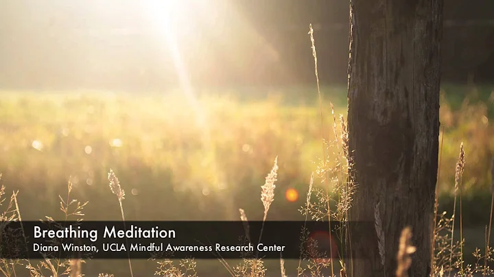Breathing Meditation | UCLA Mindful Awareness Rese...