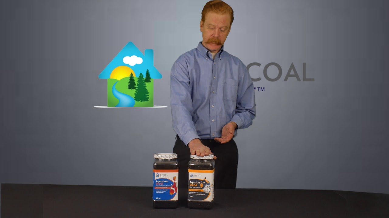 The Best Aquarium Charcoal YouTube
