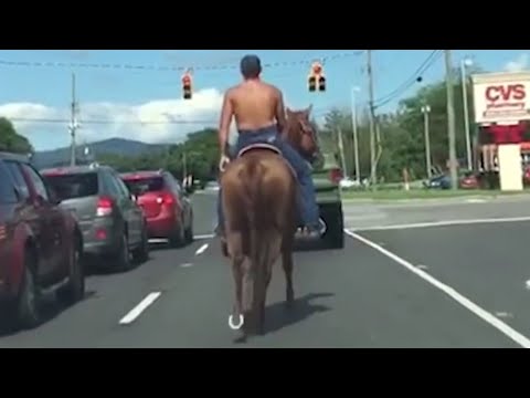 TRY NOT TO LAUGH WATCHING FUNNY FAILS VIDEOS 2022 #205