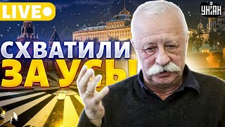 : ,     !  .     | LIVE
