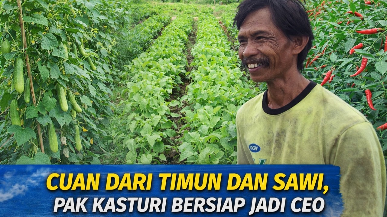 PERLUAS LAHAN CABE, PAK KASTURI BERDAYAKAN DUA PEKERJA, BANTU OLAH TANAH, BUAT BEDENGAN