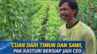 PERLUAS LAHAN CABE, PAK KASTURI BERDAYAKAN DUA PEKERJA, BANTU OLAH TANAH, BUAT BEDENGAN