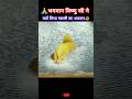 भगवान विष्णु ने लिया मछली का अवतार 😱#bhakti #shorts #youtubeshorts #viralvideo