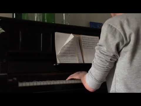Lana Del Rey White Mustang Piano Cover 