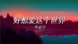 华晨宇 - 我好想爱这个世界啊（想过离开以这种方式存在 是因为 那些旁白 那些姿态 那些伤害）(Lyrics) （歌词版）