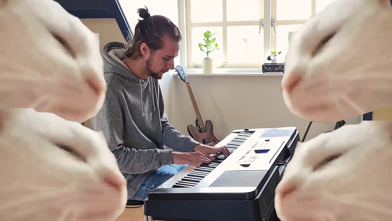 Cat Vibing to Ievan Polkka (Piano Cover)