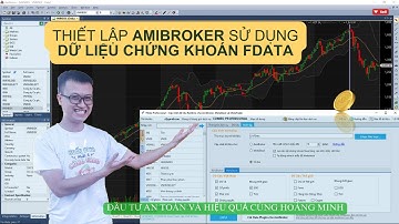 Hướng dẫn Thiết lập AmiBroker để lấy Dữ liệu Chứng khoán FData từ Fialda | Công cụ Đầu tư