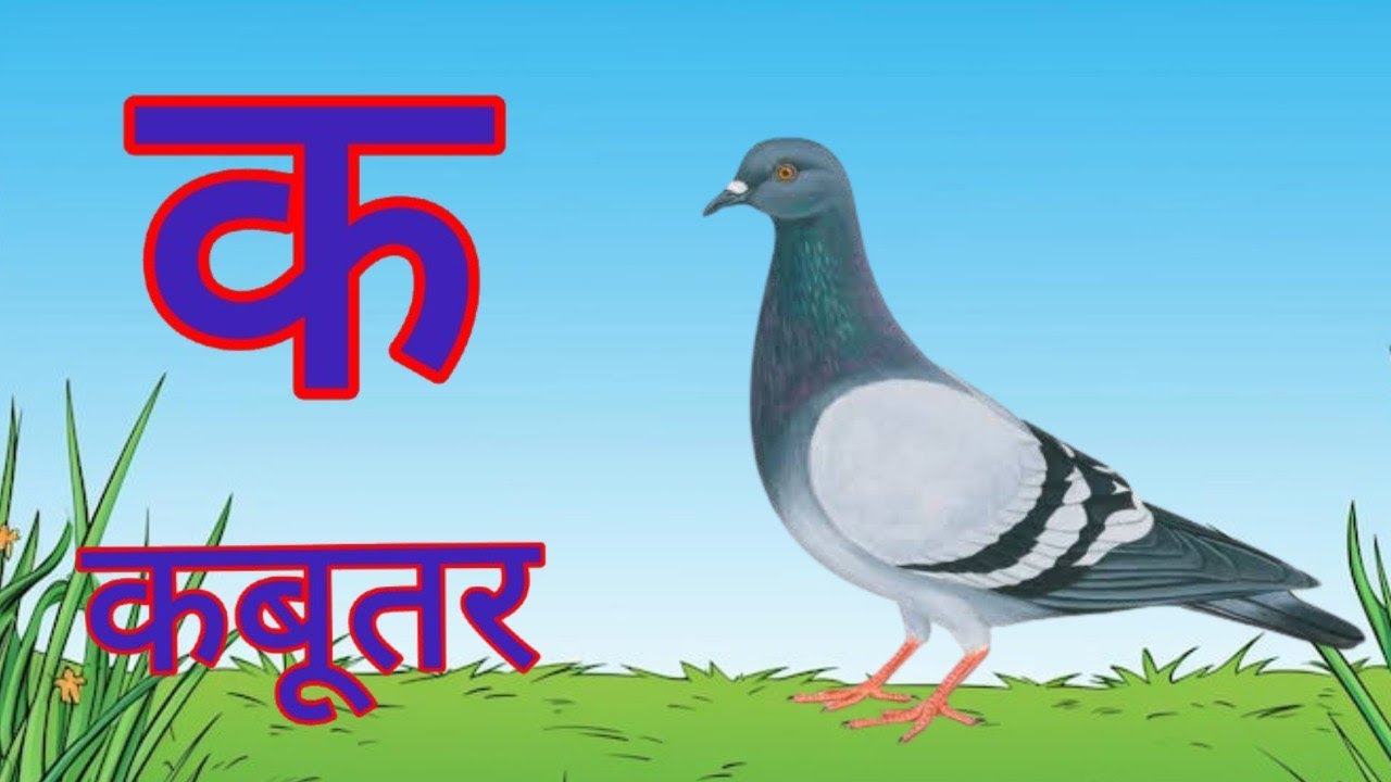 Ka Se Kabootar, Kha Se Khargosh | Learn Hindi Alphabet for Kids.Ka Se Kabootar, Kha Se Khargosh | 