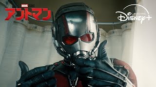 わずか1.5cmのヒーロー誕生の瞬間🐜｜アントマン｜Disney+ (ディズニープラス） screenshot 3