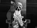This is your sign to photograph your fur babies, frame it and hang it on your bathroom wall.