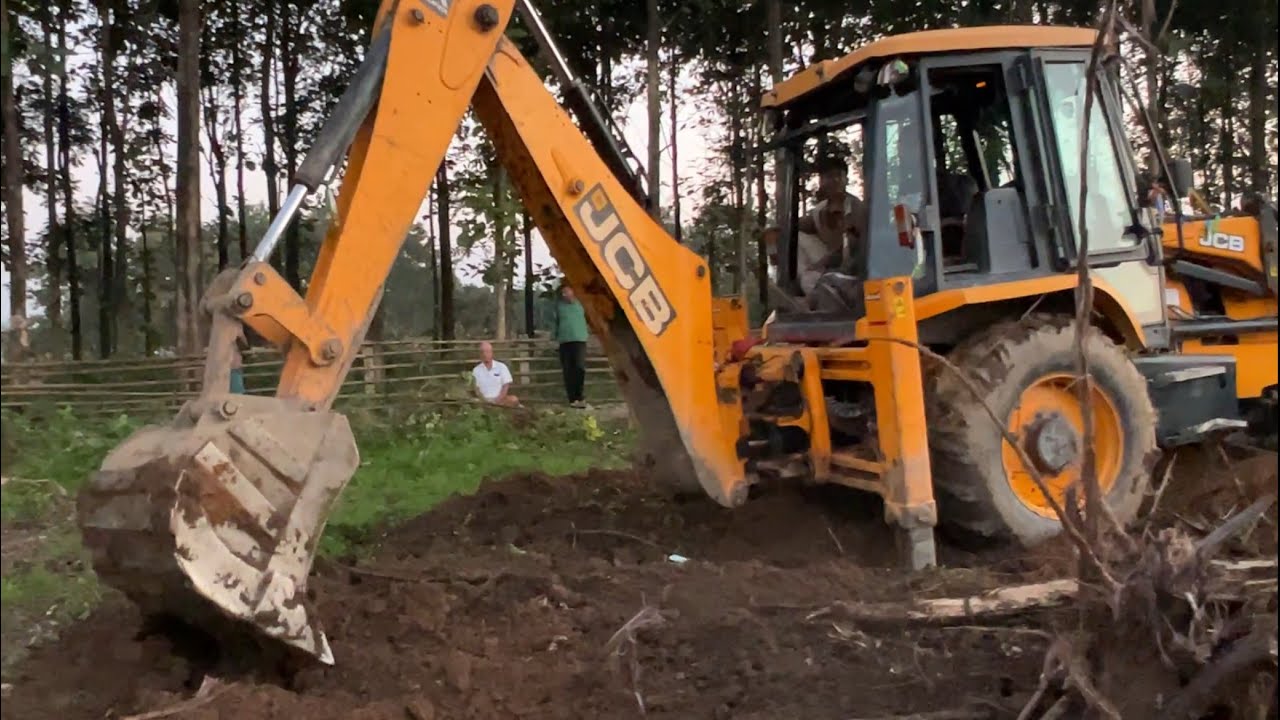 A JCB Machine Is Busy Uprooting Trees In The Evening 