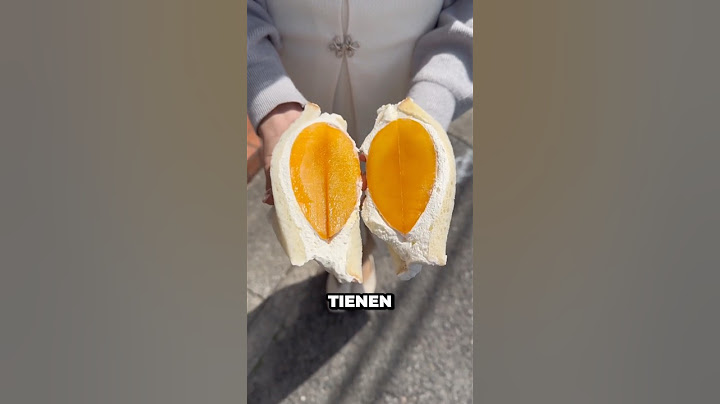 Por Esto Japón Está Viviendo en 2050🇯🇵😍