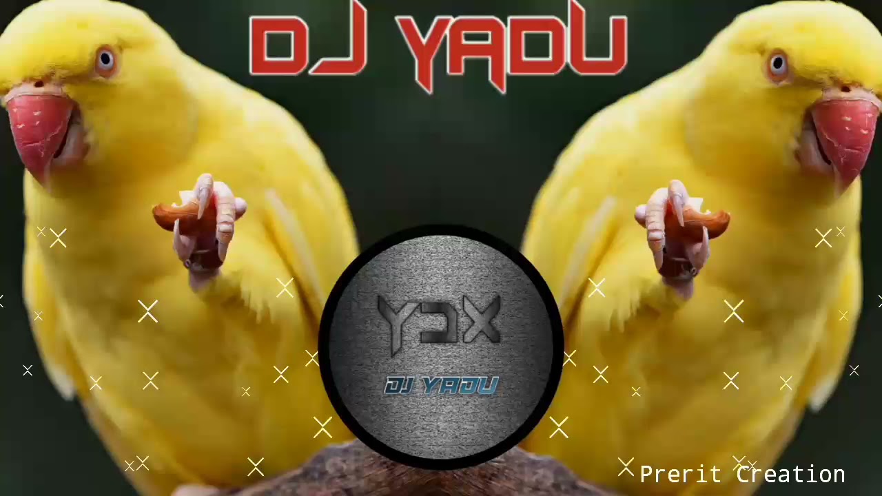 Pinjre me popat bole gondi remix demo dj yadu ydx