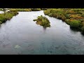 Fly fishing en río Maullin