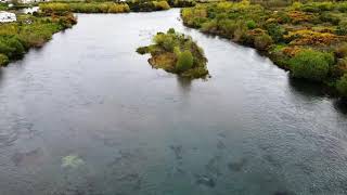 Fly fishing en río Maullin