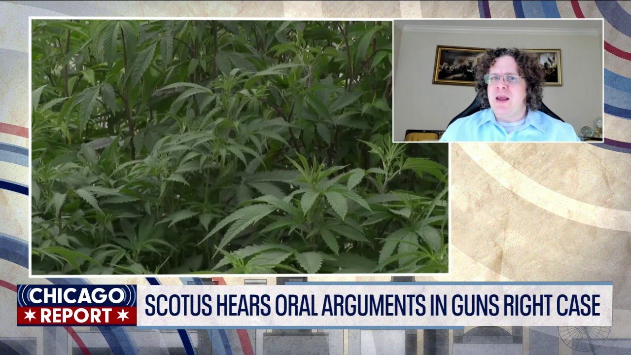 SCOTUS to rule on whether marijuana users can own guns | The Chicago Report