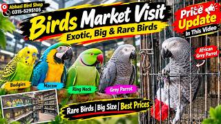 Birds Market Visit 🦜 | Exotic & Rare Birds | African Grey, Ringneck, Macaw | Price Update