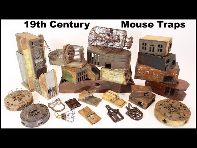 Museum's 19th Century Mousetrap Is Still Catching Mice