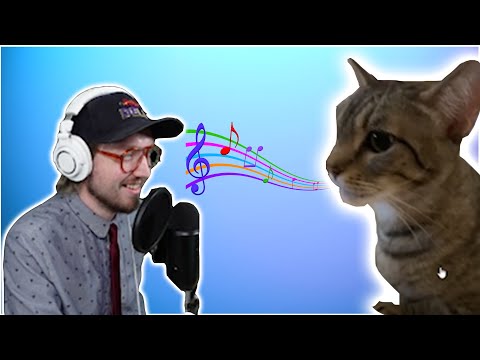 Video: Auto-tuned Cat Er Mixtape Drop, Som Vi Alle Har Ventet På