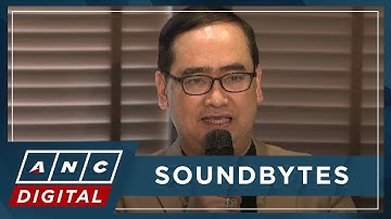 WATCH: Discaya lawyer on ghost project allegations, 2016 wealth growth, WPP | ANC