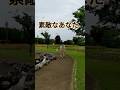 舟木一夫【素敵なあなた】#shorts#素敵なあなた#舟木一夫