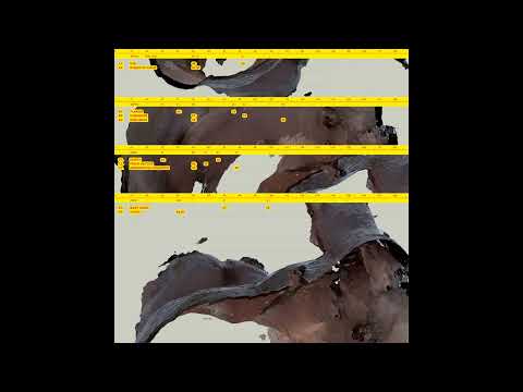 Awe Kid — Awe Kid - Zenith