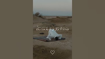 تلاوة تريح القلوب🎧😴 من الشيخ محمد أيوب❤️✨️ #قرآن #محمد_ايوب #اذكرو_الله #صلوا_على_النبي #راحة_نفسية