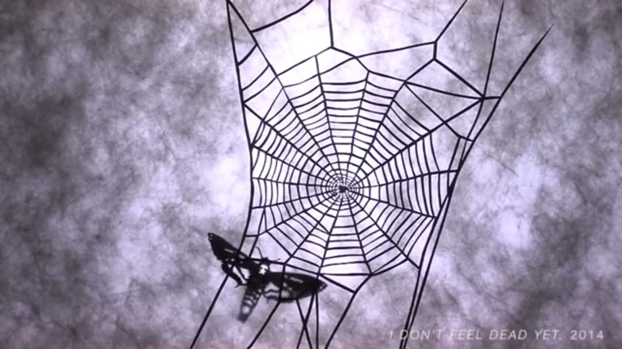 Queen of the Crankie: Katherine Fahey!