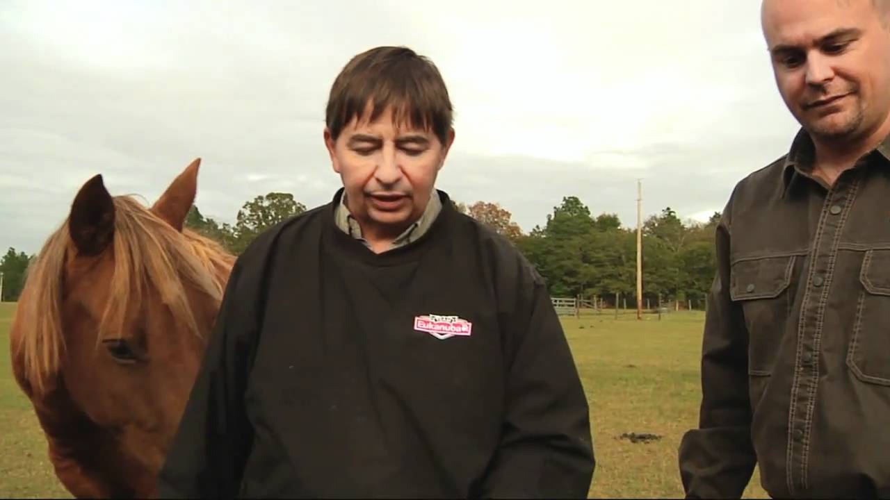 Gun Dog Broker In The Field with Mark Fulmer with Sarahsetter Kennels