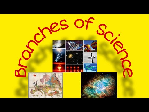 Branches of Science- (5 Main Branches of Science)