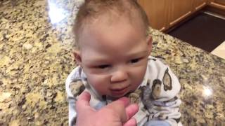 debbie henshaw reborn doll artist