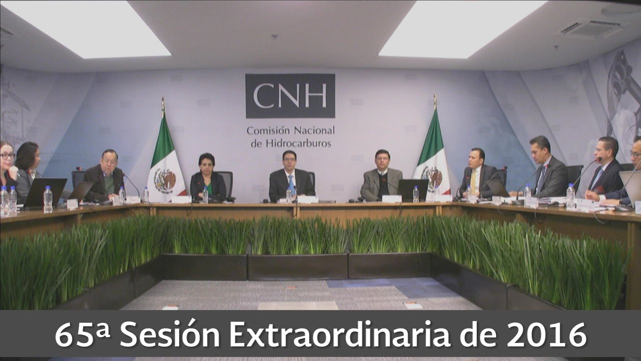 Resumen 65ª Sesión Extraordinaria 2016 cnhl
