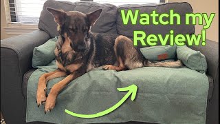 Honest Review- Pet Couch Cover