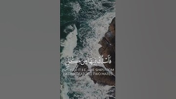 فأوحينا إليه ان اصنع الفلك بأعيننا ووحينا❤سورة المؤمنون🤍 #قرآن #قران_كريم #تلاوة_خاشعة#لايك