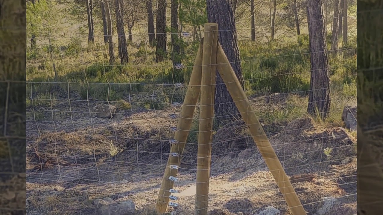 Montar malla ganadera con grampillones en postes de madera