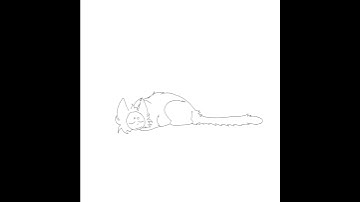Sleeping cat animation test