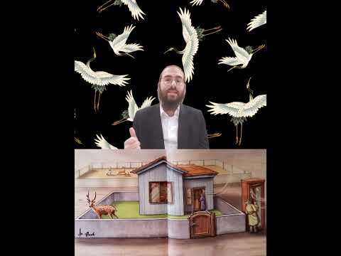 Shabbat Chapter 13 - Youtube