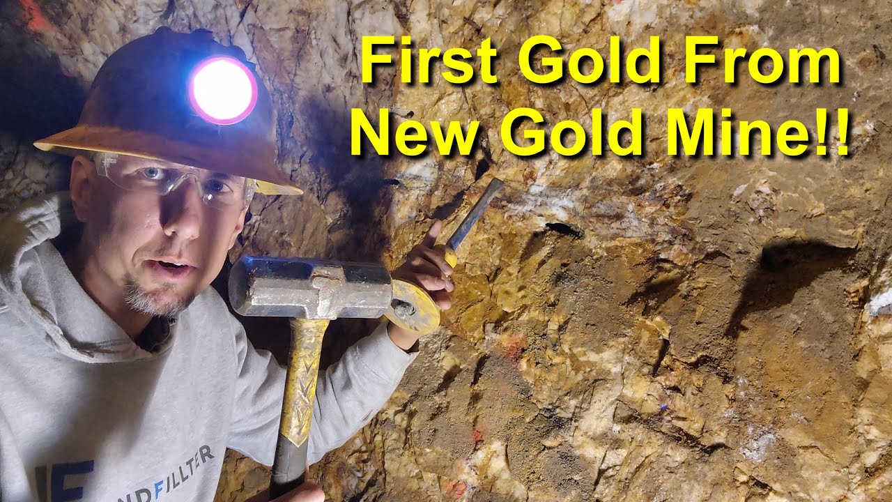 Exciting Update: Your Inside Look at What's to Come - Goldmine And