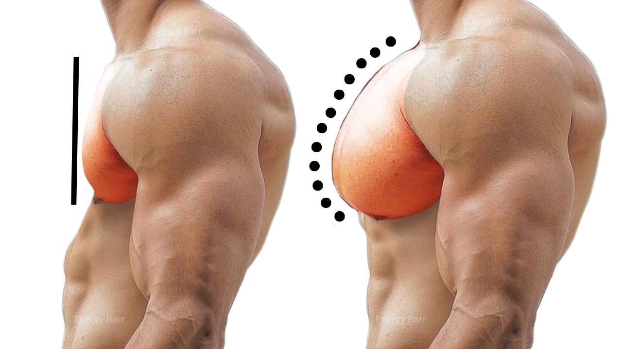 Как быстрее накачать грудные мышцы (пекторальные мышцы)