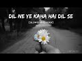 Dil ne yeh kaha hai dil se 🎧 | Slowed & Reverb | Udit narayan,alka yagnik |Dhadkan Lofi Music #lofi