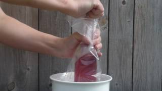 Kombucha- hur man undviker explosion