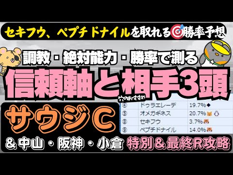 【サウジカップ2024・2月24日特別R攻略】意外なな穴馬を知りたいひとへ… 勝率＆調教で暴く「特別、最終Rの推奨軸1頭と激走候補」【競馬予想2024】