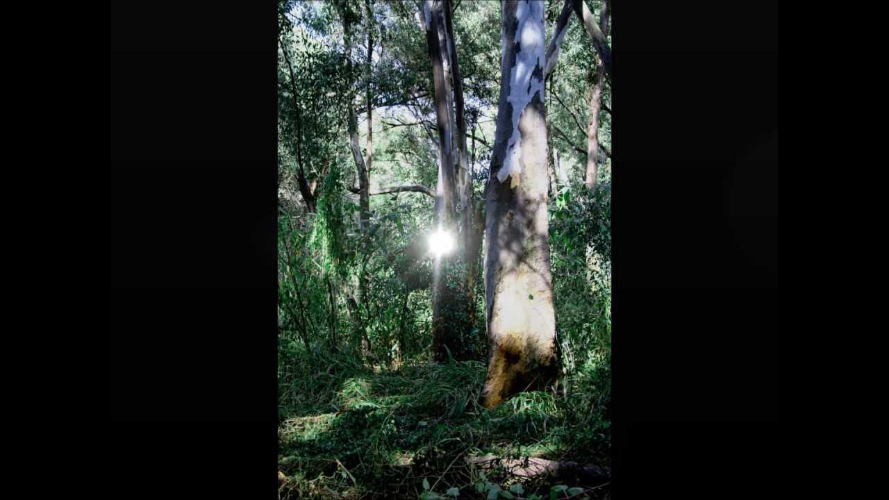 Poetry in Motion "The Wilderness" featuring Yolanda Adams' Fragile