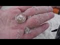 beach metal detecting #44